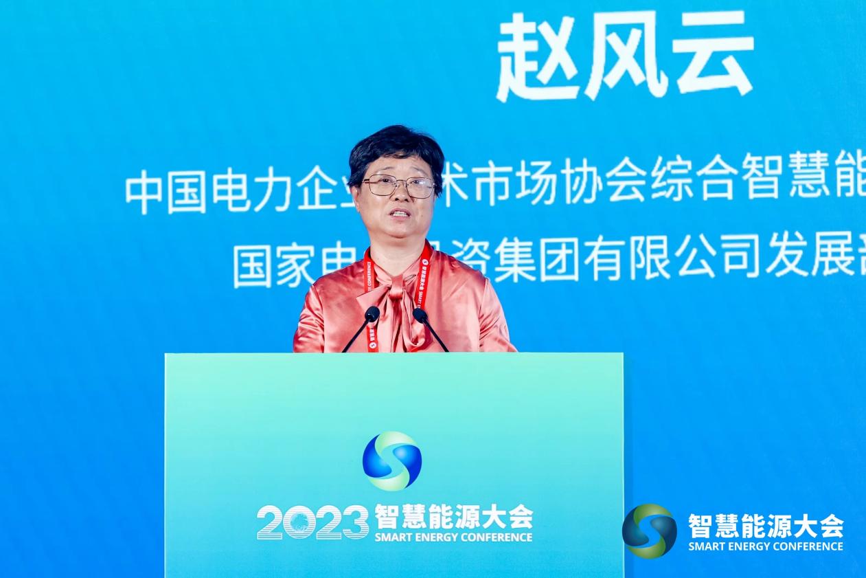 大咖专家齐聚2023智慧能源大会 共话能源未来(图11)