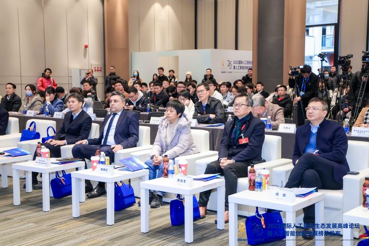 2023国际人工智能生态发展高峰论坛暨创新发展榜单发布活动成功举办
