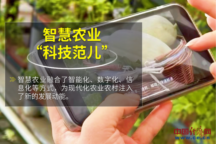 【2023“三农”成绩单】智慧农业“科技范儿” 走出绿色致富路