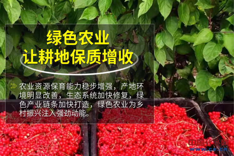 【2023“三农”成绩单】智慧农业“科技范儿” 走出绿色致富路(图2) 【2023“三农”成绩单】智慧农业“科技范儿” 走出绿色致富路(图2)