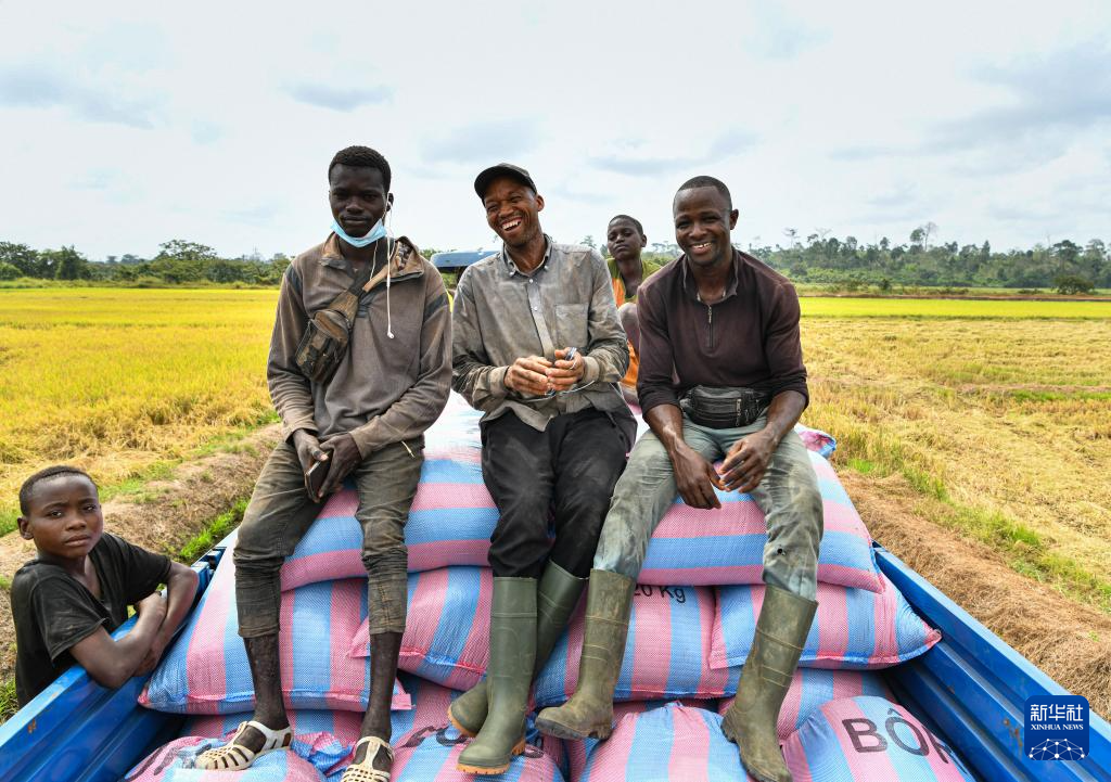 中国水稻技术惠及科特迪瓦民众(图3) 中国水稻技术惠及科特迪瓦民众(图3)