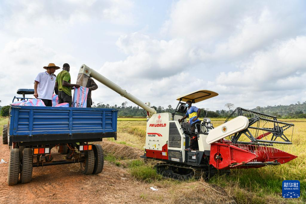 中国水稻技术惠及科特迪瓦民众(图4) 中国水稻技术惠及科特迪瓦民众(图4)