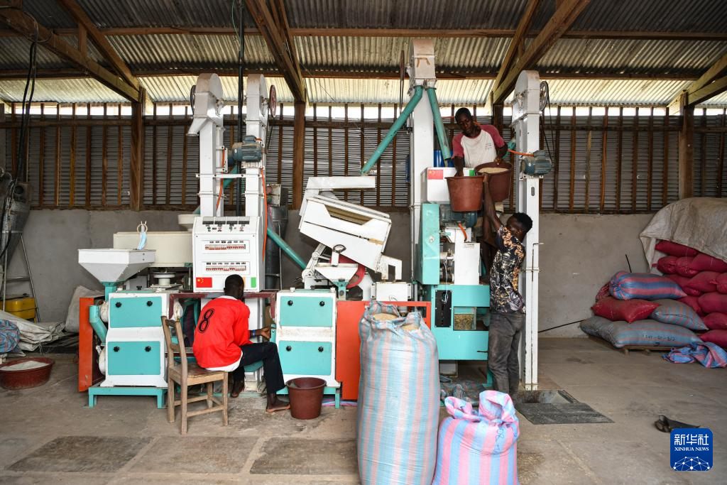 中国水稻技术惠及科特迪瓦民众(图5) 中国水稻技术惠及科特迪瓦民众(图5)