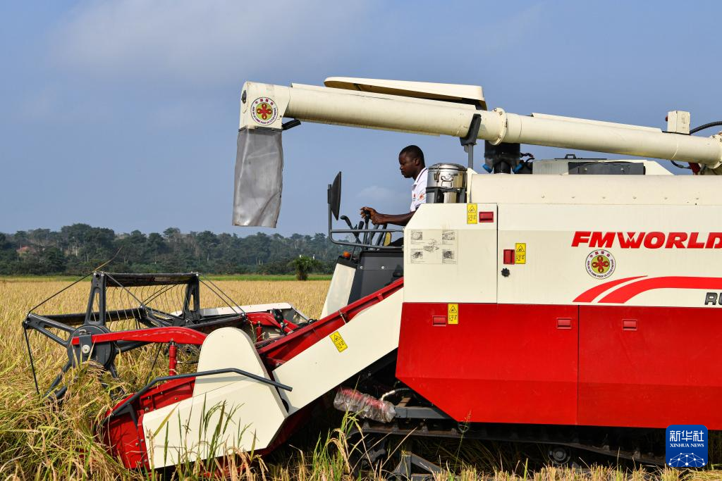 中国水稻技术惠及科特迪瓦民众(图11) 中国水稻技术惠及科特迪瓦民众(图11)