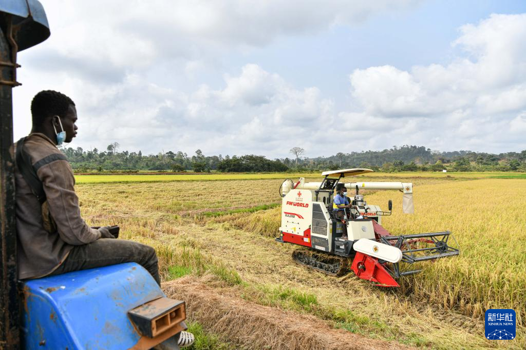 中国水稻技术惠及科特迪瓦民众(图9) 中国水稻技术惠及科特迪瓦民众(图9)