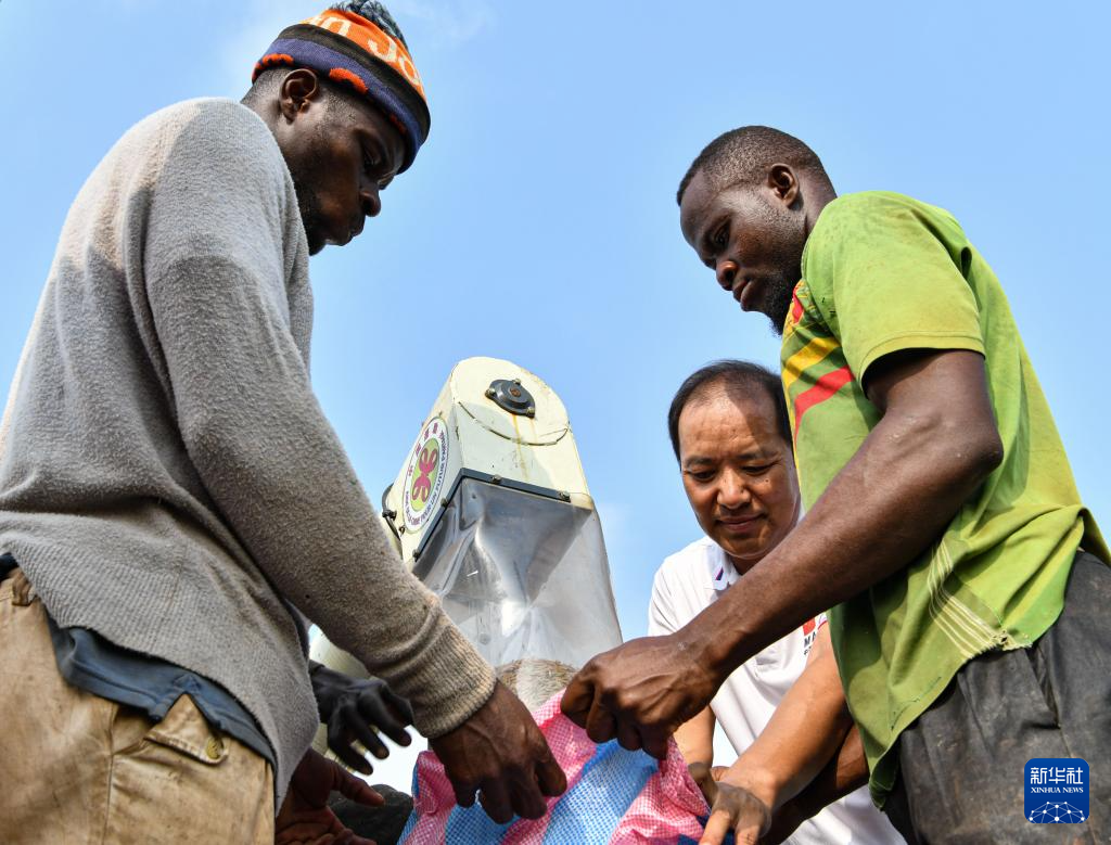 中国水稻技术惠及科特迪瓦民众(图10) 中国水稻技术惠及科特迪瓦民众(图10)