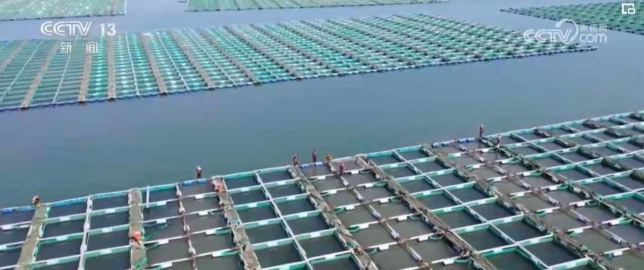 回升向好、成色十足、表现亮丽、殊为不易！关键词里看2023年中国经济(图10)