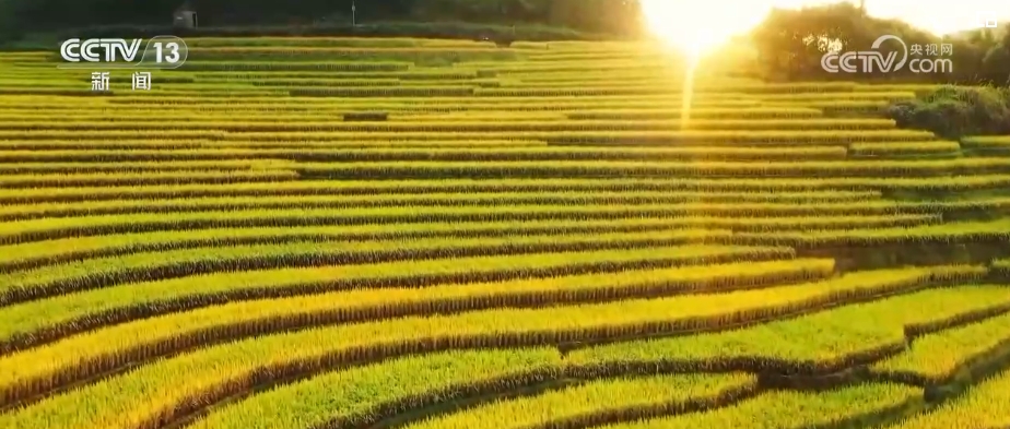 回升向好、成色十足、表现亮丽、殊为不易！关键词里看2023年中国经济(图12)