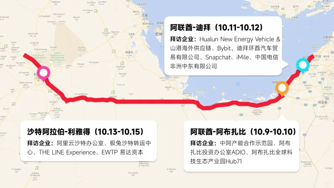 回望2023出海：中国企业重新认识全球化(图10)