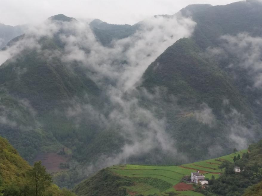 陕西安康：科技支撑 助力乡村振兴