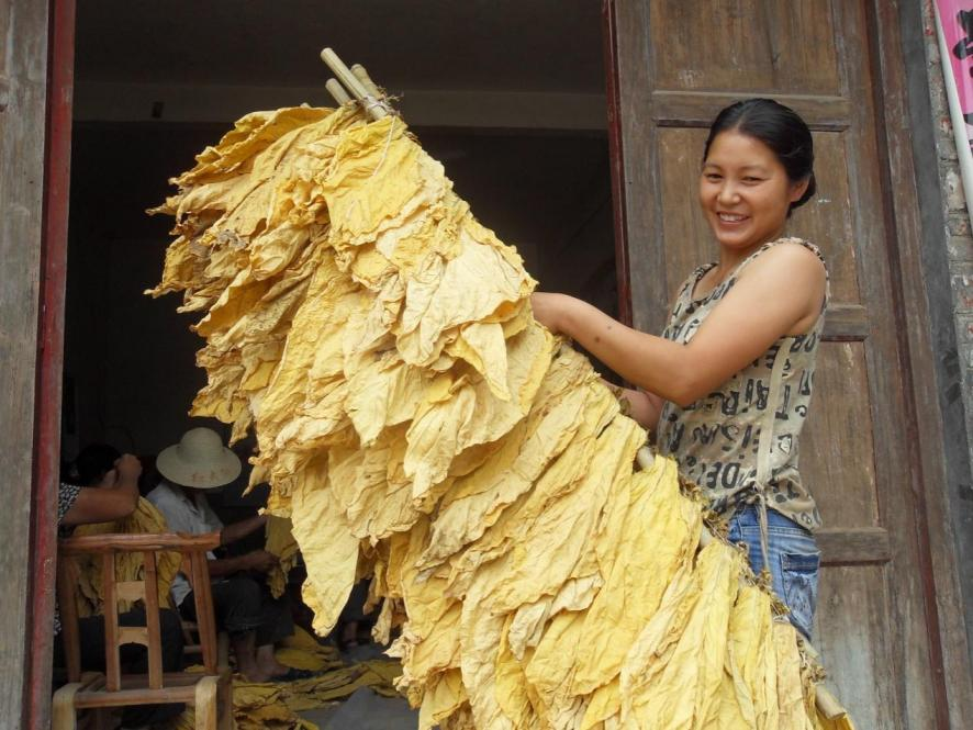 陕西安康：科技支撑 助力乡村振兴(图2)