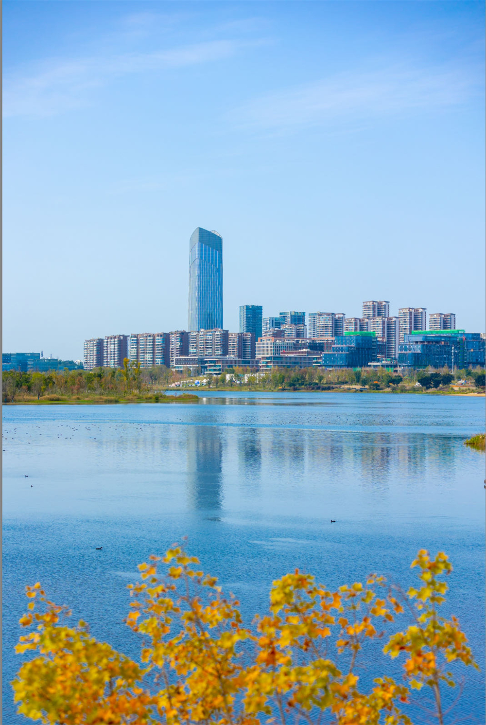 向新而动 再开新局！ 新一年 天府新区科技创新加速前行→(图2)