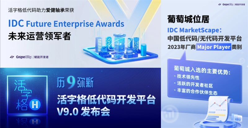 行稳致远进而有为 葡萄城2023年度报告(图3)