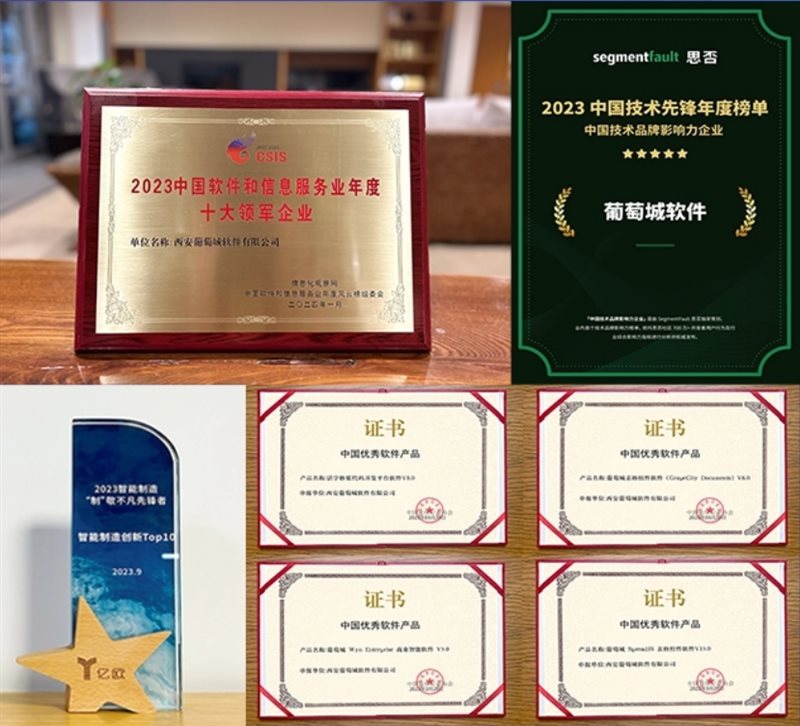 行稳致远进而有为 葡萄城2023年度报告(图2)