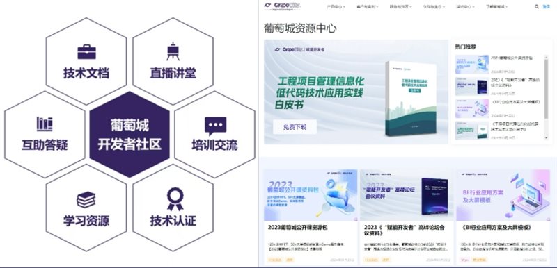 行稳致远进而有为 葡萄城2023年度报告(图6)