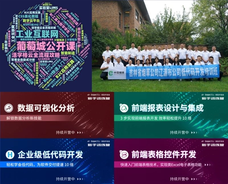 行稳致远进而有为 葡萄城2023年度报告(图7)