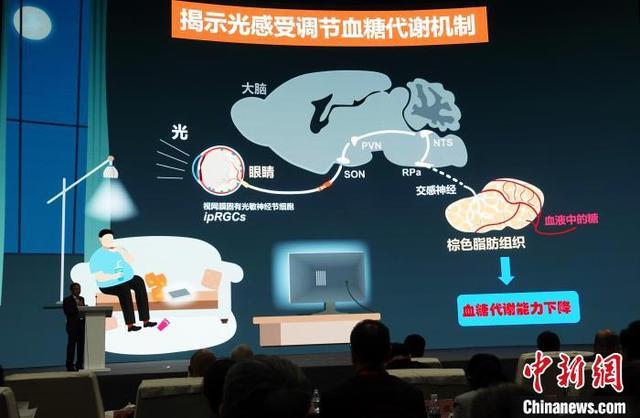 2023中国科学十大进展公布 主要分布在生命科学和医学、人工智能、量子、天文、化学能源等领域(图2)