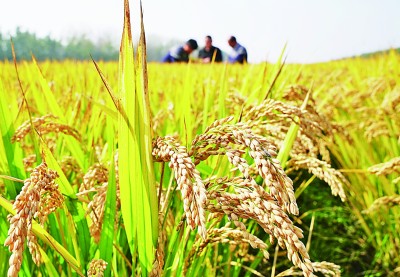 2023年度“中国科学十大进展”发布——见证！创新动力勃发奔涌(图3)