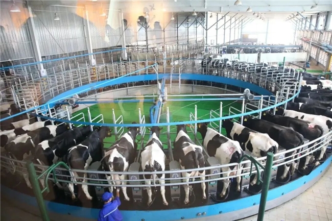 君乐宝切实践行科技兴农助力河北省2023中国农民丰收节开幕(图3)